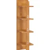 vidaXL Wandspiegel met schappen 30x30x120 cm massief teakhout