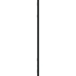 vidaXL Wandspiegel rechthoekig 30x60 cm ijzer zwart