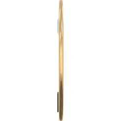 vidaXL Wandspiegel rond Ø20 cm goudkleurig