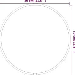 vidaXL Wandspiegel rond Ø30 cm zilverkleurig