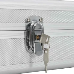 vidaXL Wapenkoffer 118x38x12 aluminium zilverkleurig
