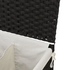 vidaXL Wasmand met 2 vakken 53x35x57 cm poly rattan zwart