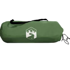 vidaXL Waterbestendige Tarp Groen 250 x 240 x 220 cm