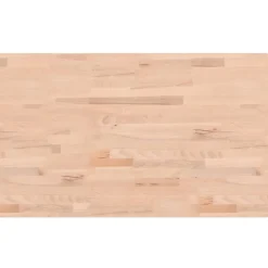 vidaXL Werkbank rechthoekig 100x60x(71,5-98) cm massief beukenhout