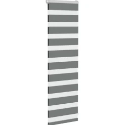 vidaXL Zebra rolgordijn 40x100 cm stofbreedte 35,9 cm donkergrijs