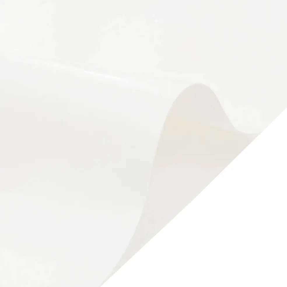 vidaXL Zeil 650g / m² Wit 2 x 3 m Canvas met PVC-coating