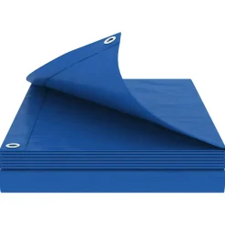vidaXL Zeil met Oogjes Blauw 2 x 3 m 260 gsm PE