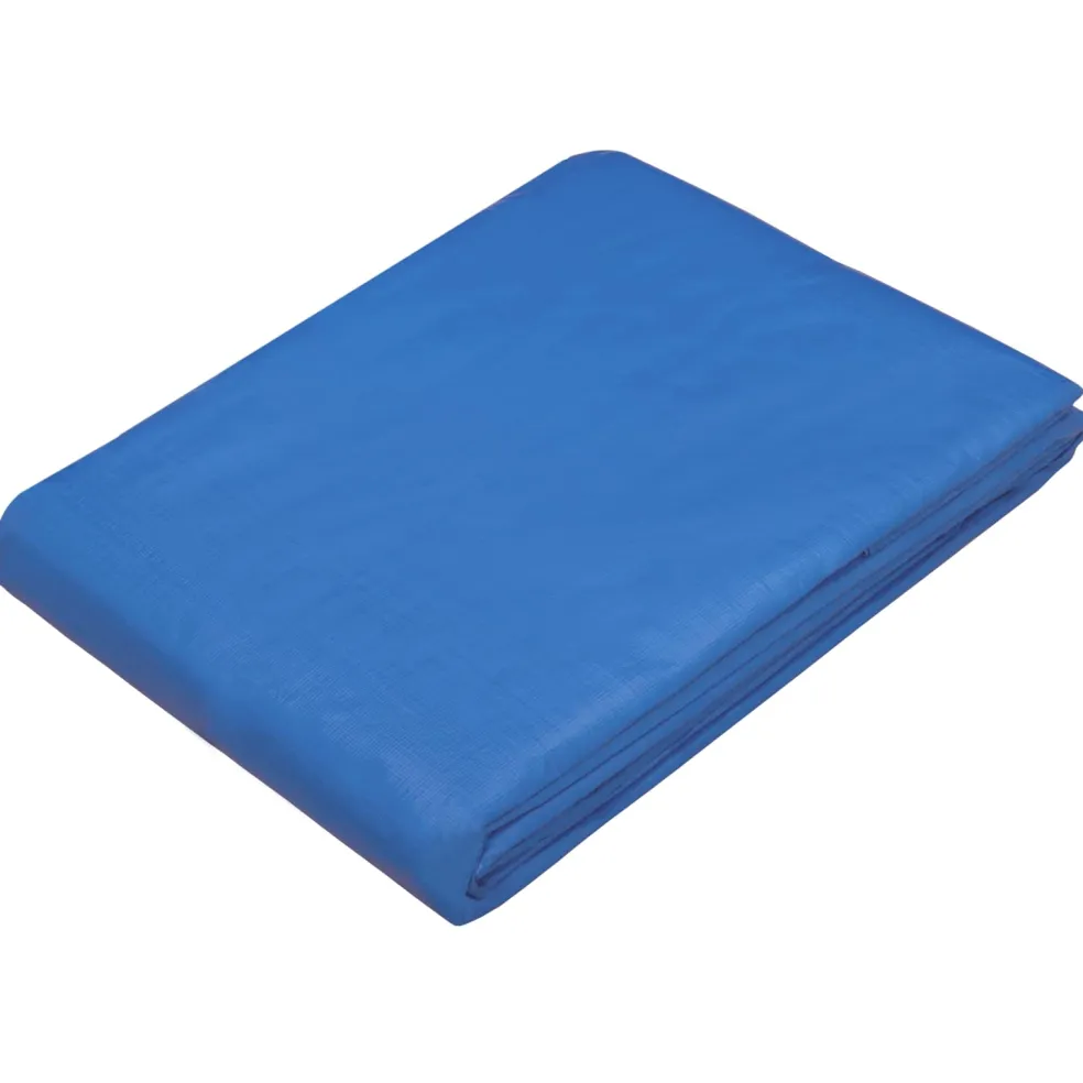 vidaXL Zeil met Oogjes Blauw 2 x 3 m 180 gsm PE