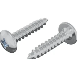 vidaXL Zelftappende Nagel 2 st Verzinkt 4 x 20 mm Staal