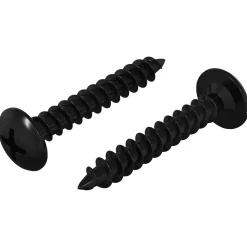 vidaXL Zelftappende Nagel 2 st Zwart 4 x 25 mm Staal