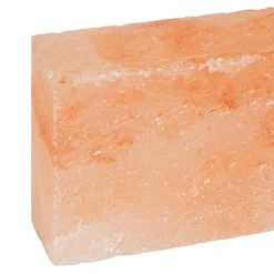 vidaXL Zoutstenen 10 st Roze 20 x 10 x 5 cm Steenzout