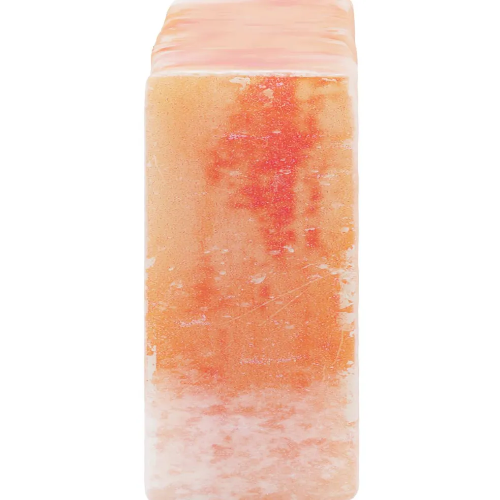 vidaXL Zoutstenen 10 st Roze 20 x 10 x 5 cm Steenzout