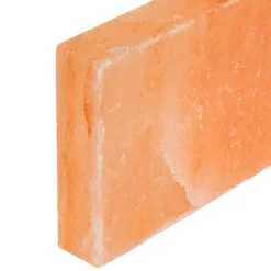 vidaXL Zoutstenen 10 st Roze 20 x 2,5 x 10 cm Steenzout