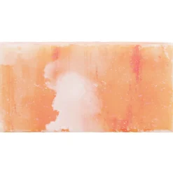 vidaXL Zoutstenen 10 st Roze 20 x 2,5 x 10 cm Steenzout